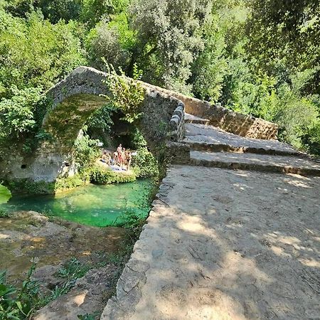 Villa Mazet Saint-Cézaire-sur-Siagne Exterior foto